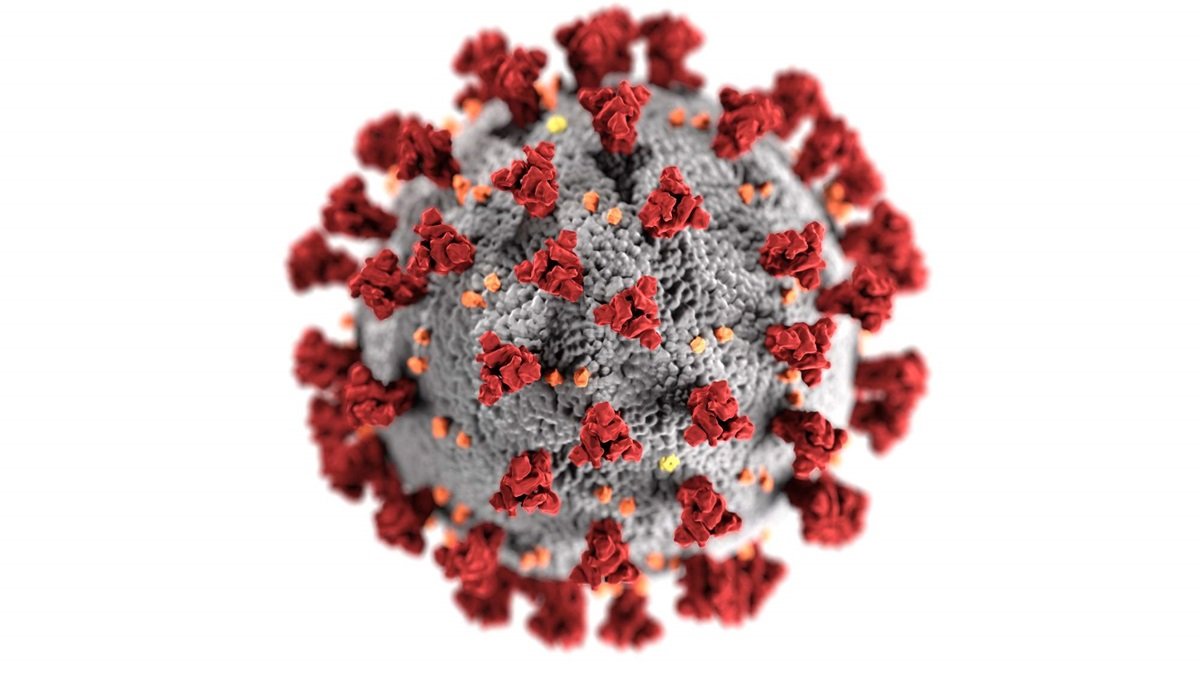 novel-coronavirus.tmb-1200v.jpg